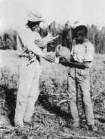 /album/fotos-antigas-da-cidade/colheitadecana-jpg/