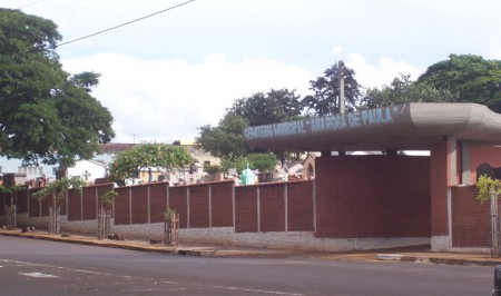 VEREADOR SEGURA APRESENTA REQUERIMENTO SOLICITANDO À APAJA, MANIFESTAÇÃO OFICIAL SOBRE AS MORTES DOS FELINOS NO CEMITÉRIO DE JAÚ.
